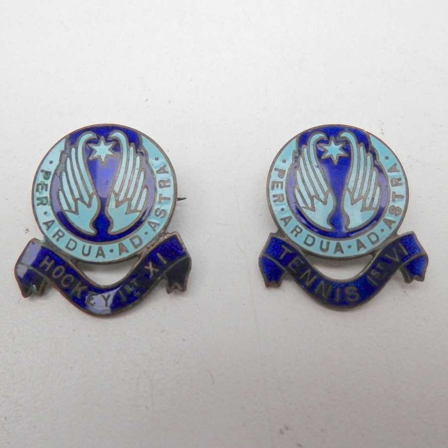 Two early RAF enamel badges