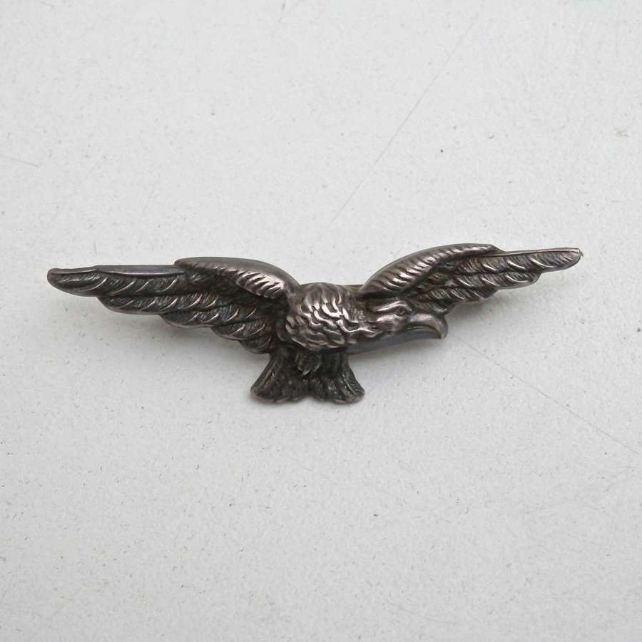 RAF silver badge