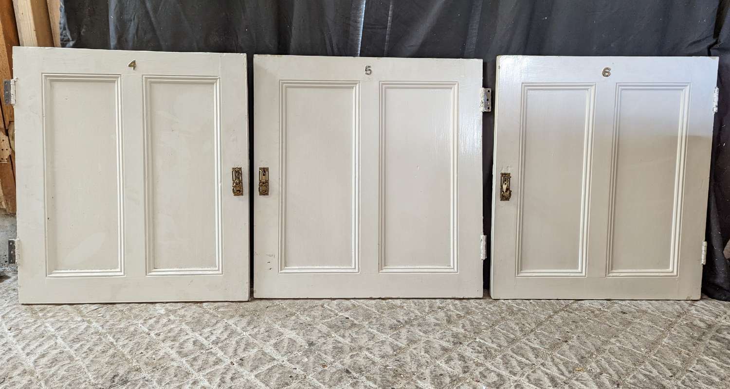 CS0103 A SET OF 3 SMALL RECLAIMED PAINTED PINE CUPBOARD DOORS C.1920