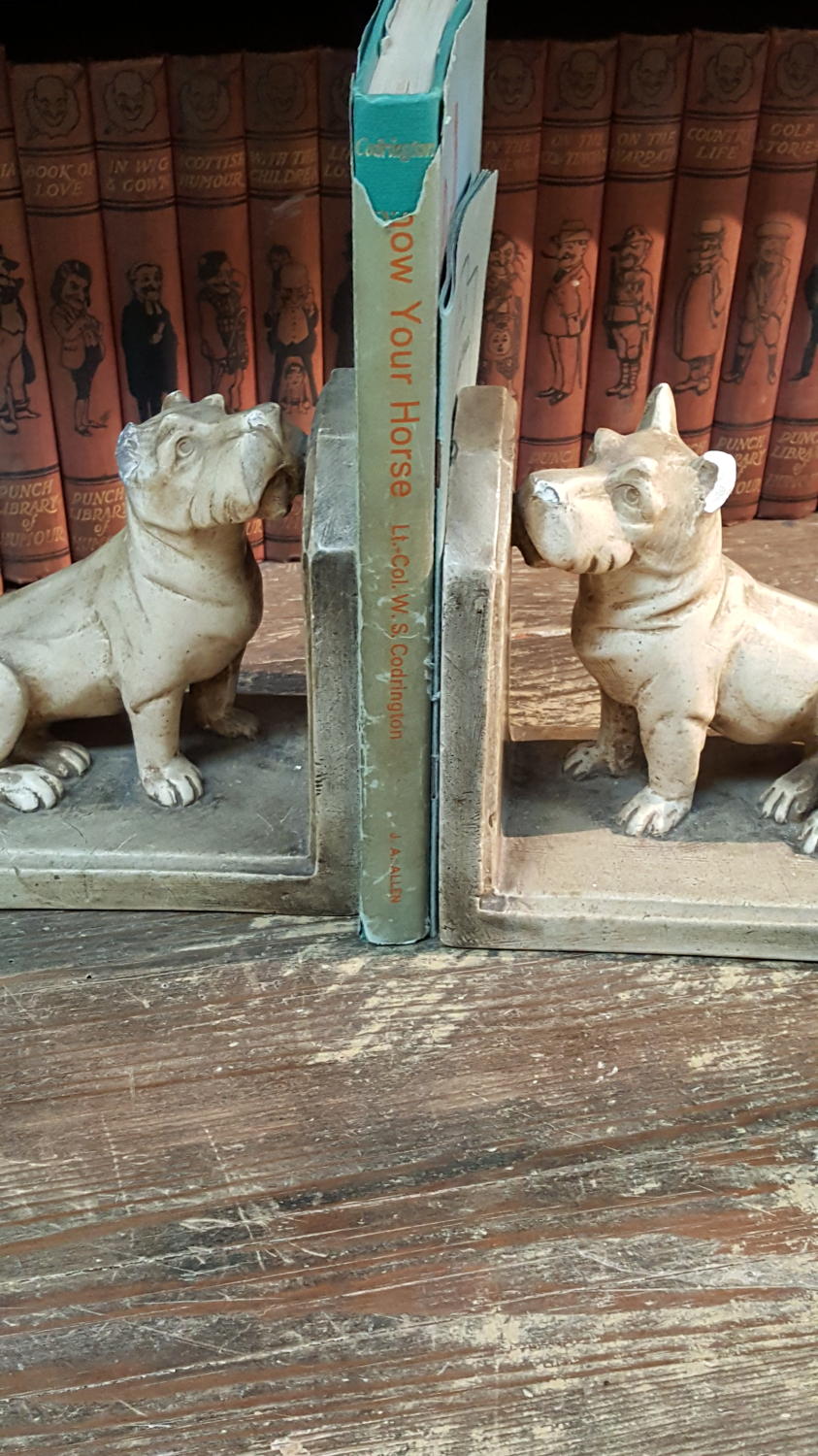 Pair of vintage Dog book ends