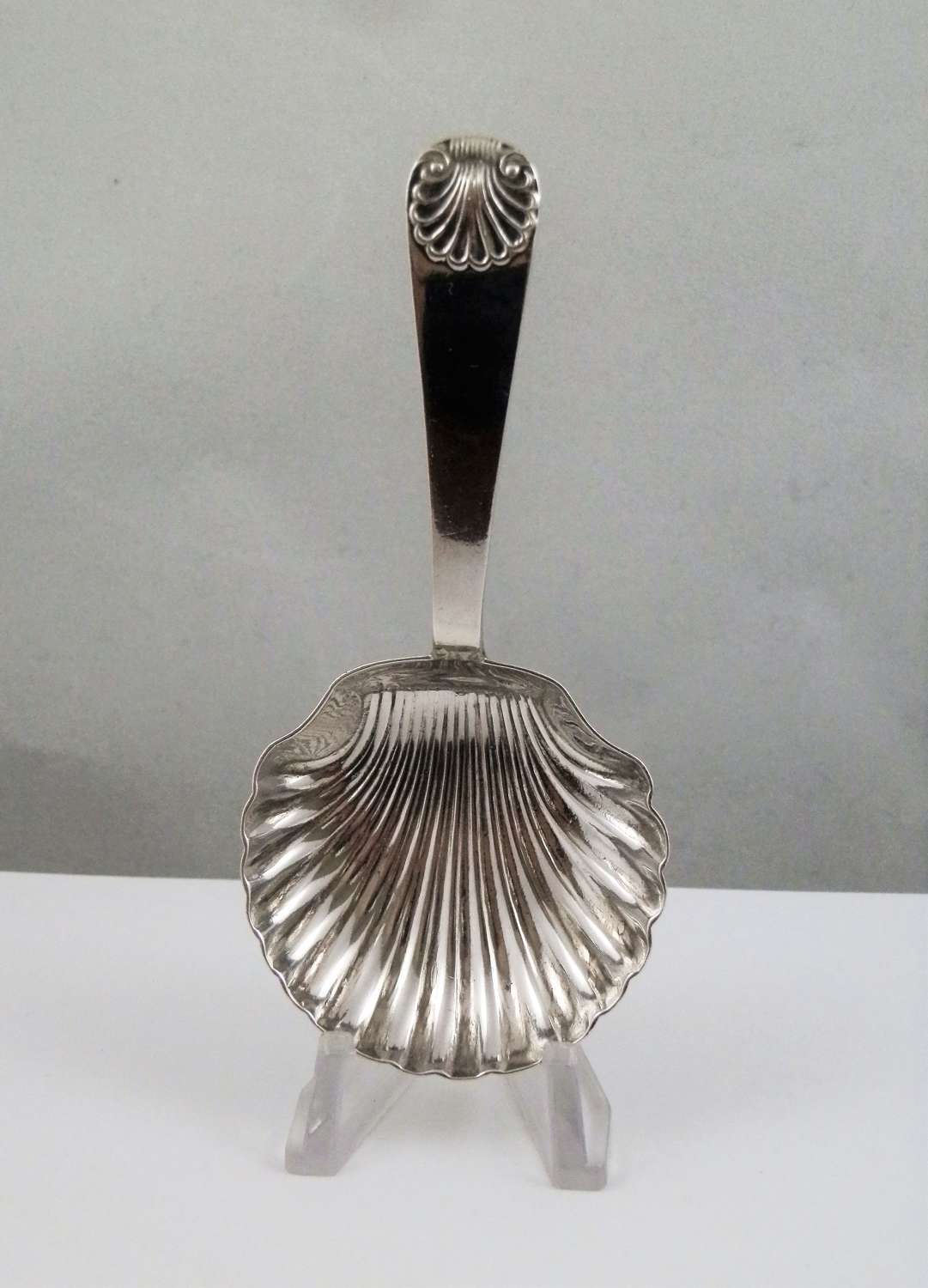 Edwardian silver shell bowl caddy spoon, Sheffield 1903