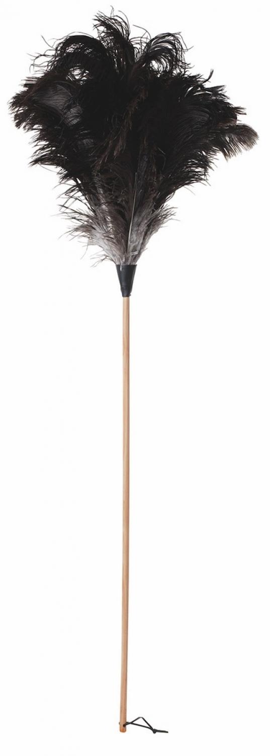 Ostrich Feather Duster - Black with plain untreated beech handle 110cm