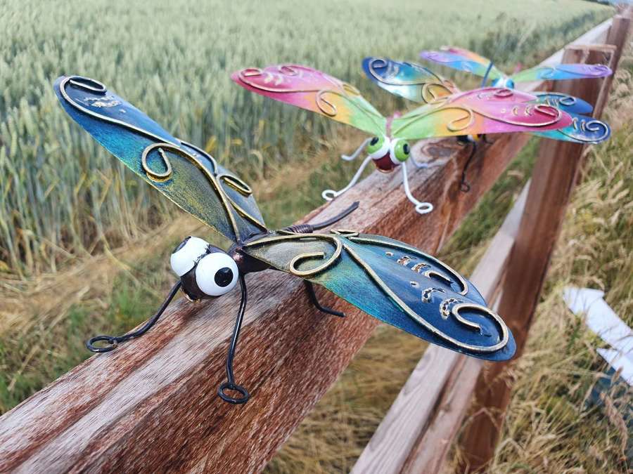 Metal Dragonflies