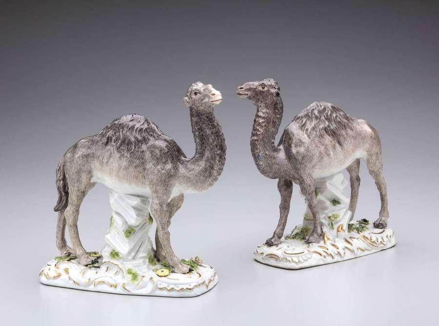 Meissen two models of dromedary camels