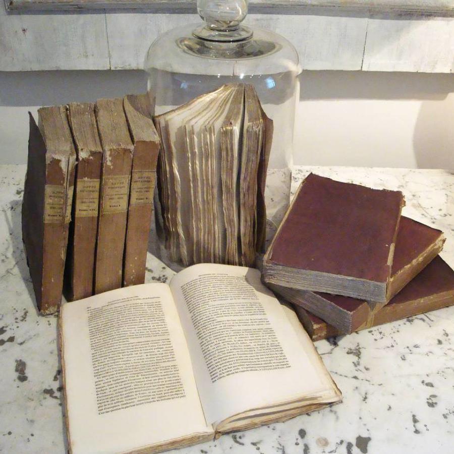 Set of 9 19th century French Purple Books