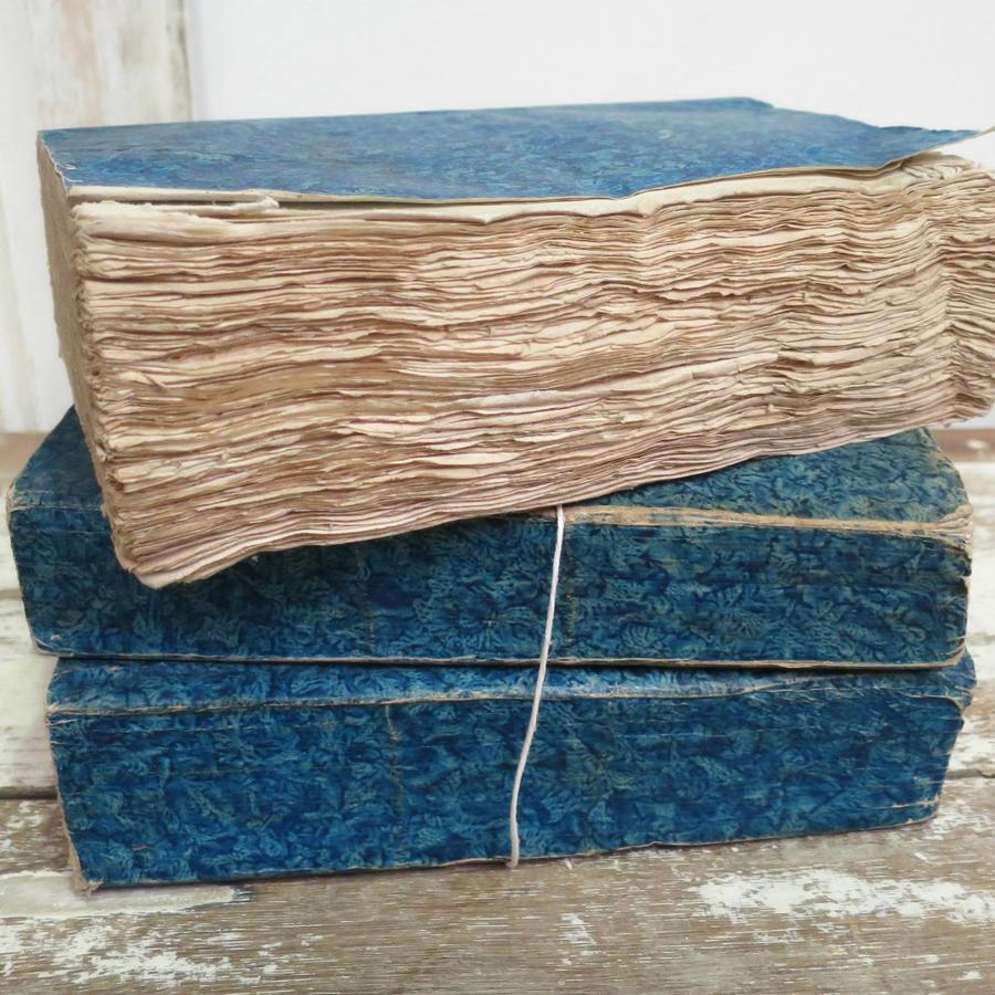 Set of 3 thick French 19th c Blue Books