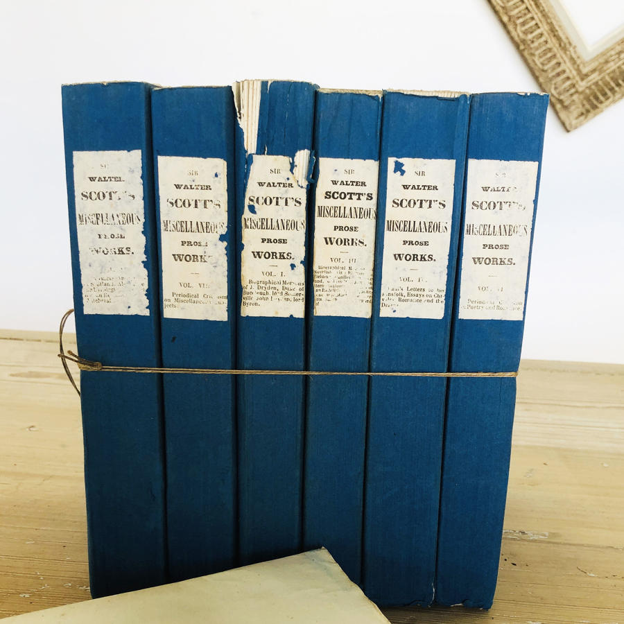 Set of 7 Blue French Books on Sir Walter Scott