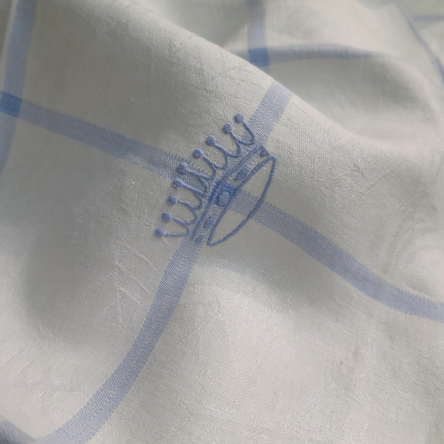 Blue & white large Tablecloth & 10 napkins